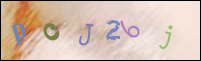 Registration Image