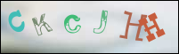 Registration Image
