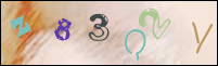 Registration Image