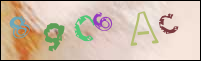 Registration Image