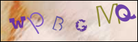 Registration Image