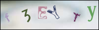 Registration Image