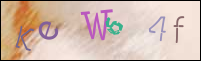 Registration Image