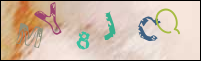 Registration Image