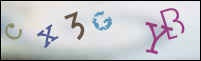 Registration Image