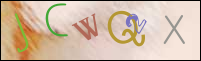 Registration Image
