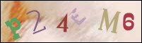 Registration Image