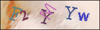 Registration Image